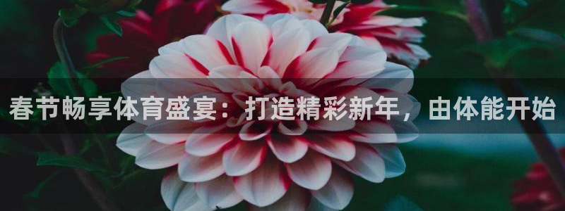 焦点娱乐平台客服电话号码查询：春节畅享体育盛宴：打造