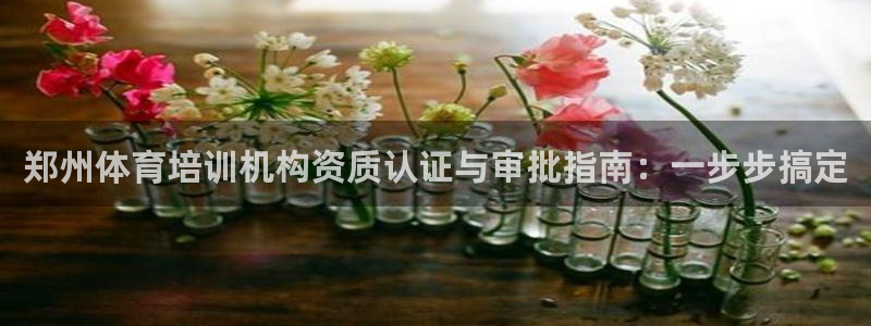 焦点娱乐平台总代理开户：郑州体育培训机构资质认证与审