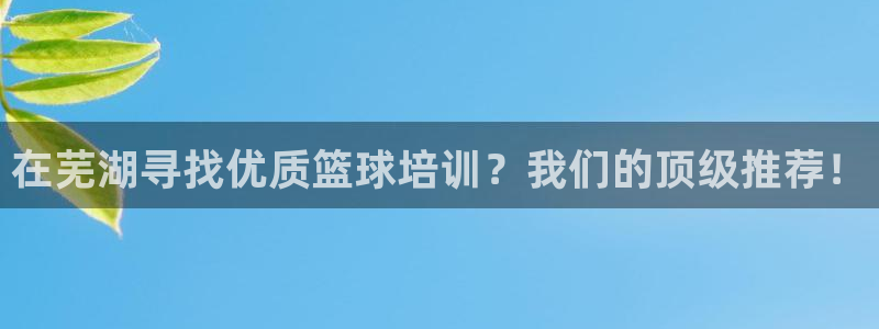 焦点娱乐说说：在芜湖寻找优质篮球培训？我们的顶级推荐