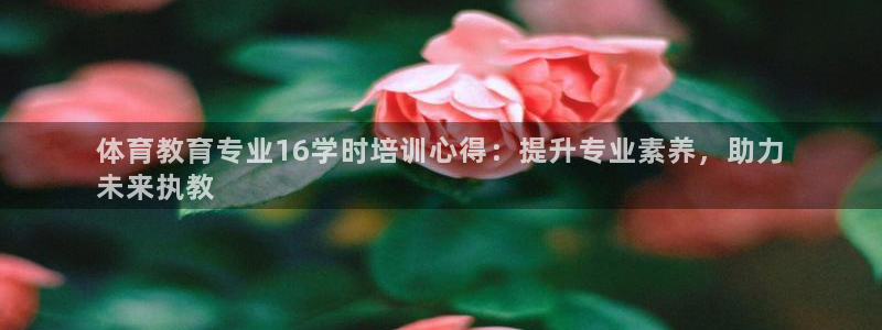 焦点娱乐拉菲11：体育教育专业16学时培训心得：提升