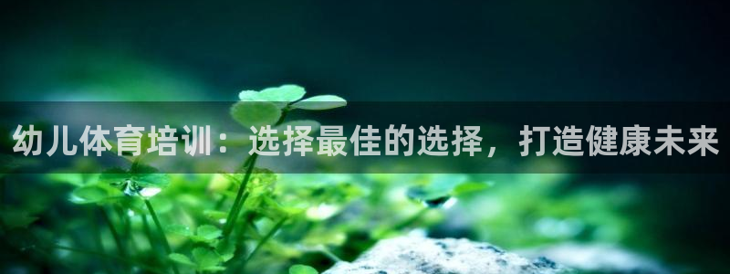 焦点娱乐公司官网