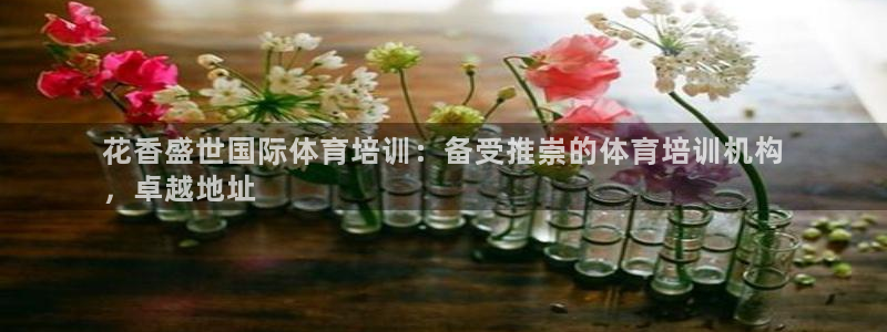 焦点娱乐官网下载安装最新版：花香盛世国际体育培训：备