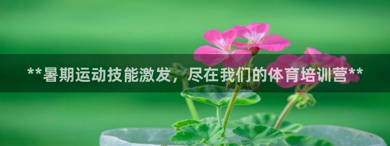 焦点娱乐有限公司怎么样：**暑期运动技能激发，尽在我