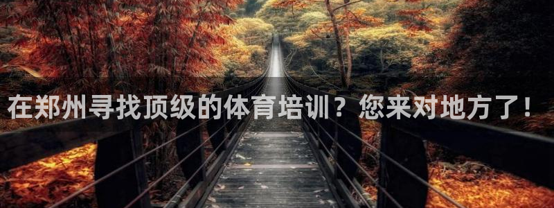 焦点娱乐什么意思：在郑州寻找顶级的体育培训？您来对地